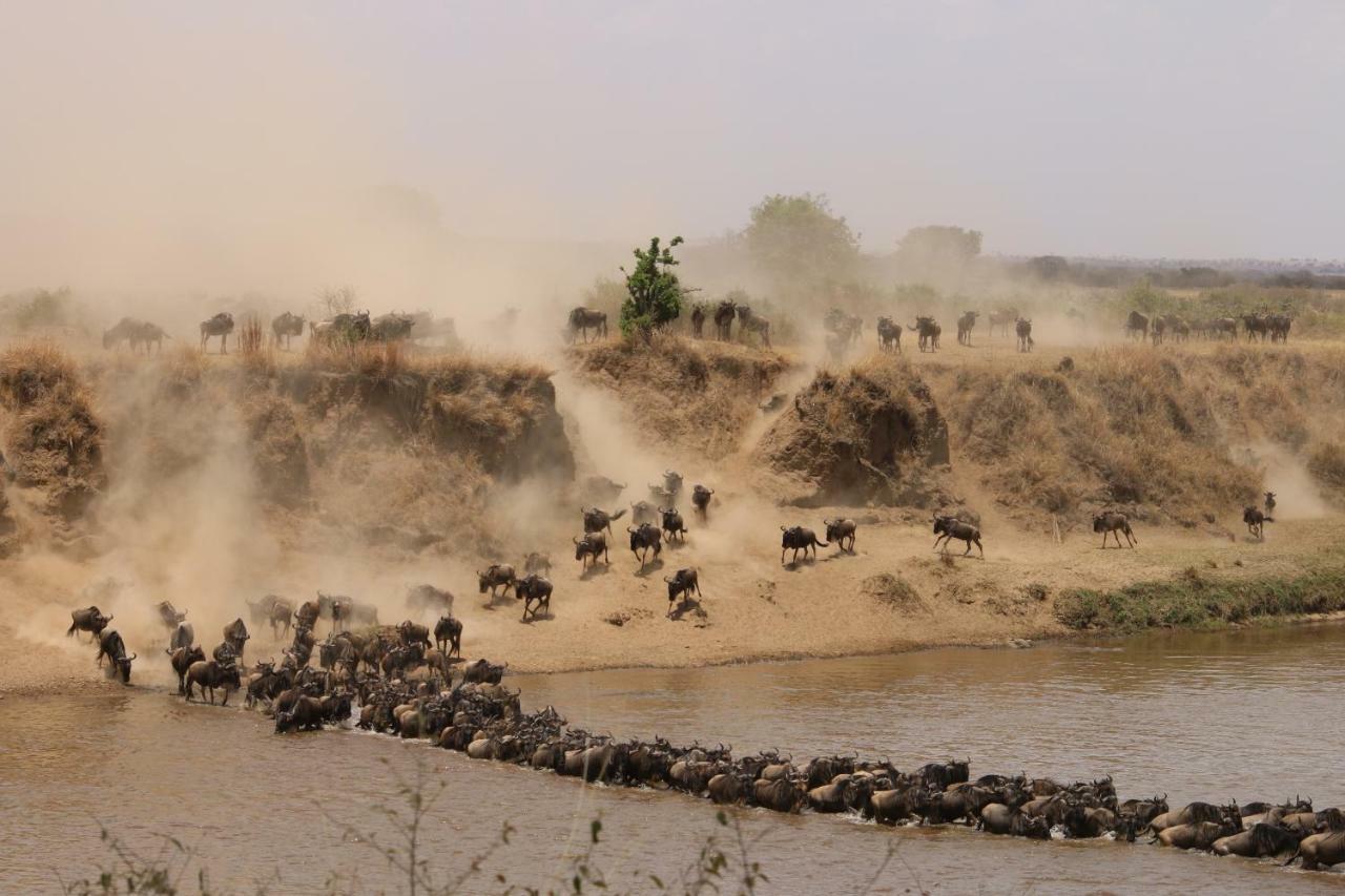 Gnu Mara River Camp Serengeti Kültér fotó