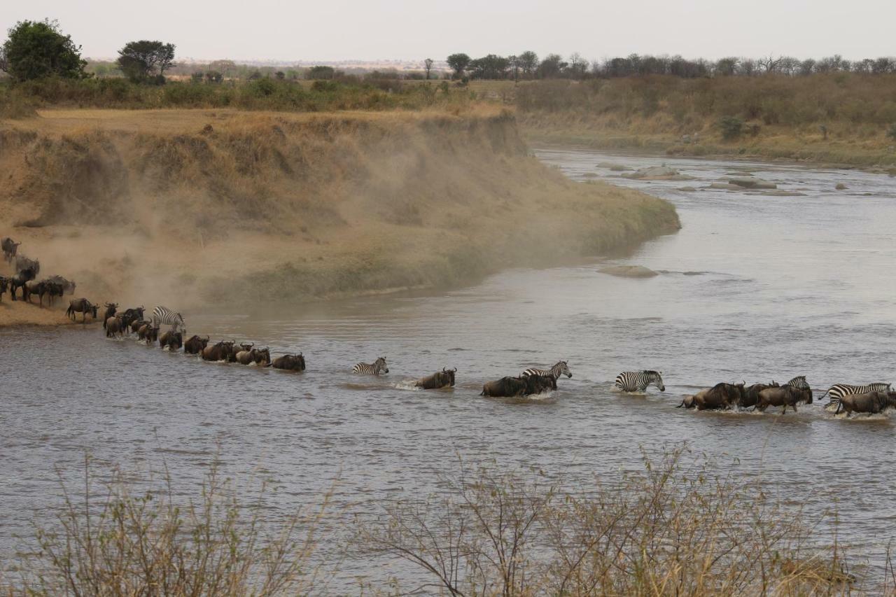 Gnu Mara River Camp Serengeti Kültér fotó